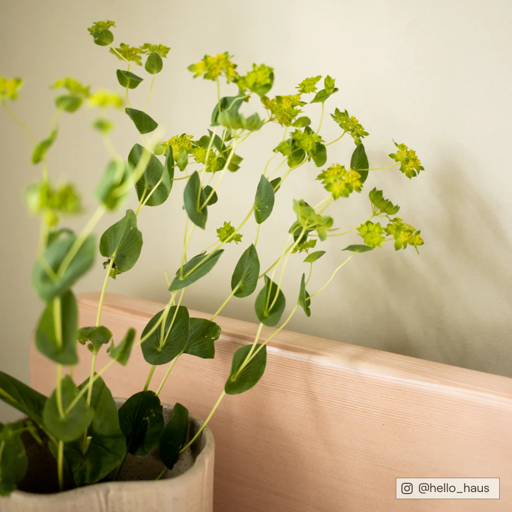 And Breathe - Image 13