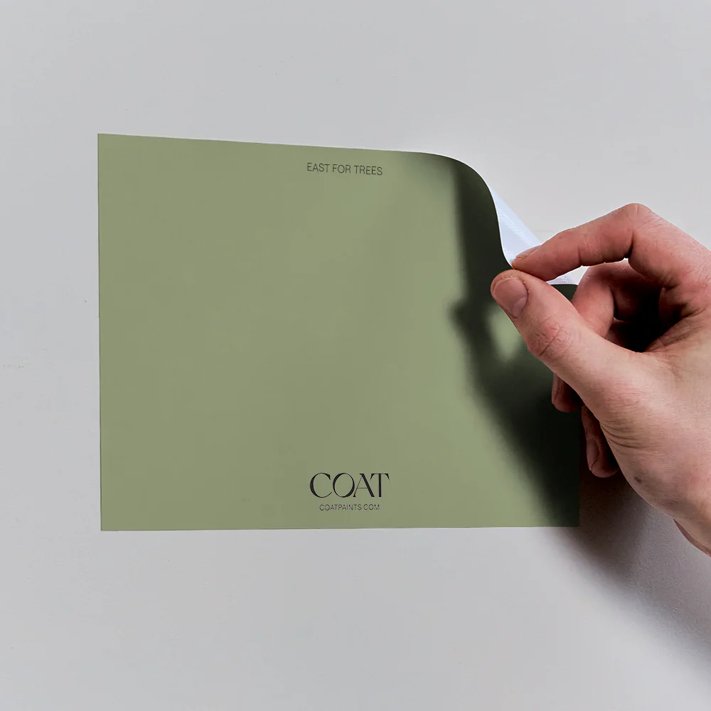 East For Trees - Image 6