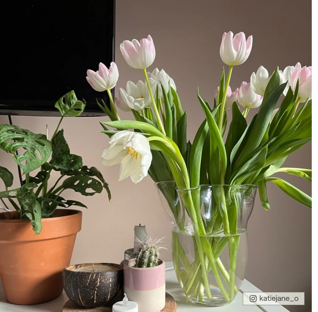 Factor Fifty Sample - Image 10