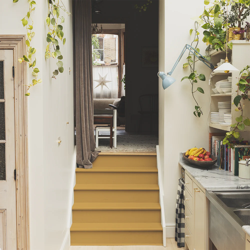House Points - Image 6