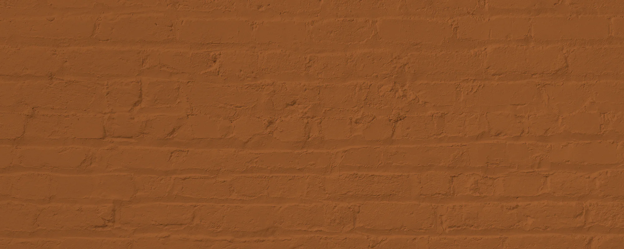Mezcal - Image 9