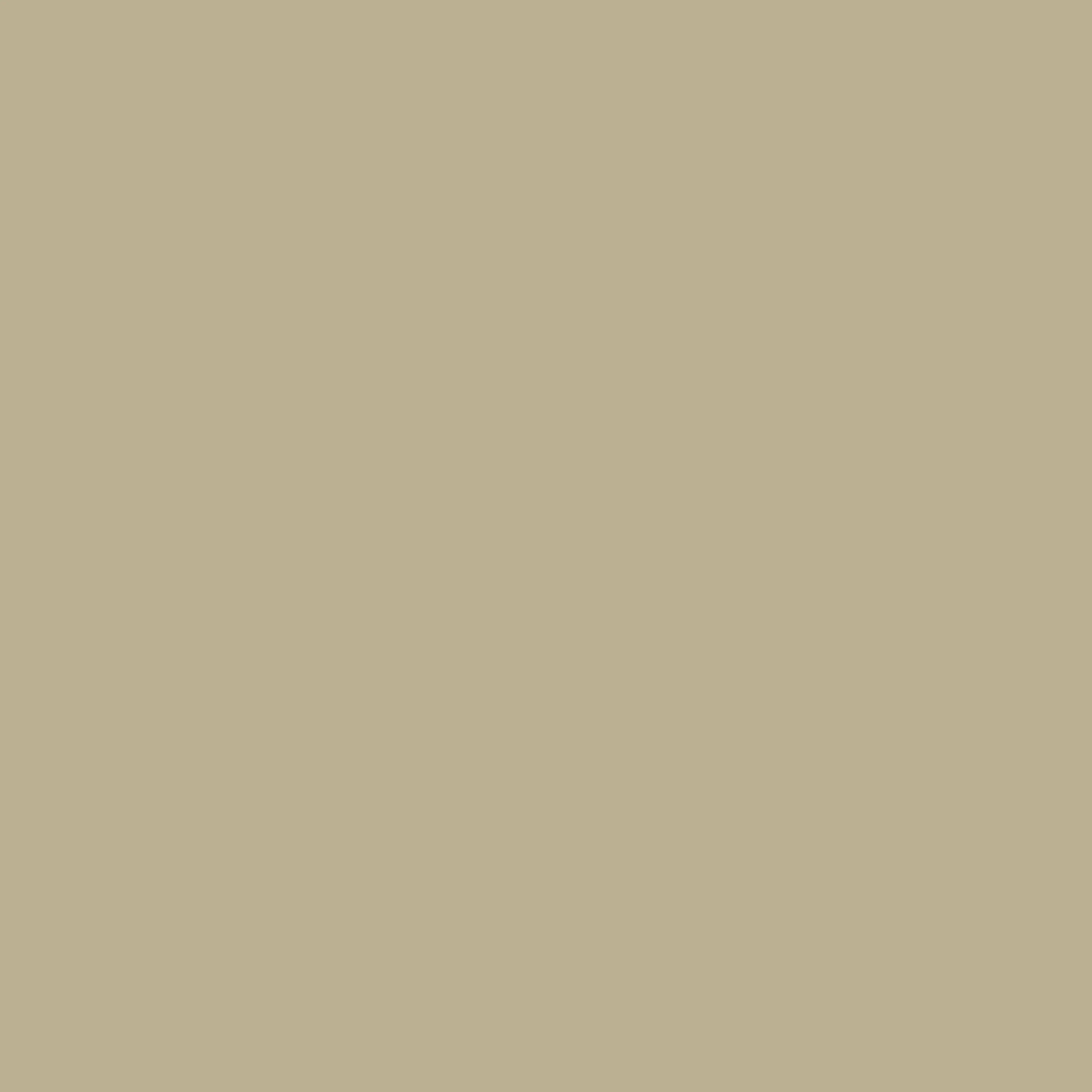 Ode to Toad - Image 5