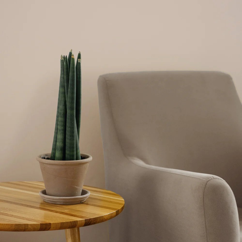 Out Of Office Sample - Image 18