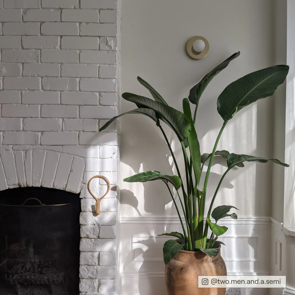Pampas Sample - Image 27
