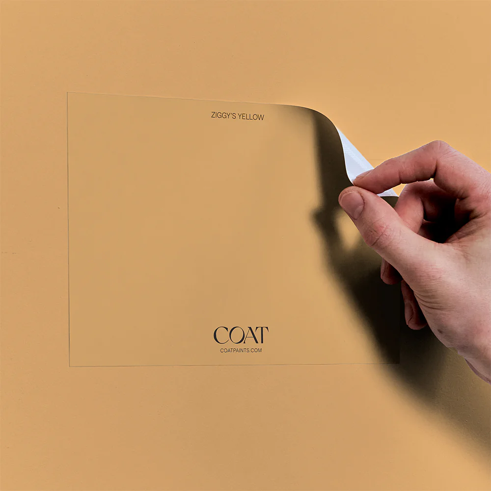 Yellow Pack - Image 6