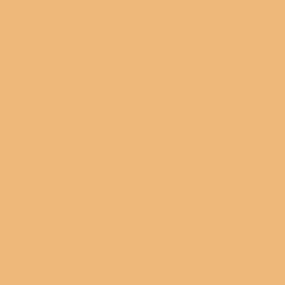 Ziggy's Yellow - Image 12